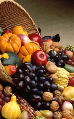 Thanksgiving Live Wallpaper android App screenshot 9