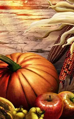 Thanksgiving Live Wallpaper android App screenshot 2