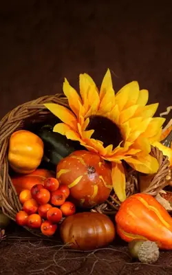 Thanksgiving Live Wallpaper android App screenshot 4